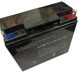 Купить аккумулятор PE-9001E3FP-4004 для бензогенератора ECO